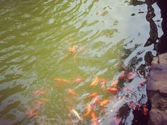 iphone_upload_pic-北京建国饭店