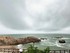 -小麦岛公园