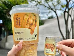 -星满杯TEAFUL(罗湖东门店)