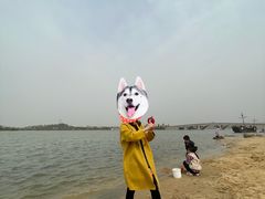 -天屿湖