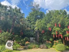 -广州市流溪河国家森林公园