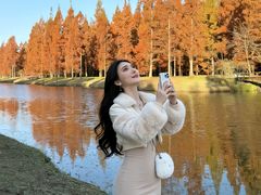 -黄海国家森林公园