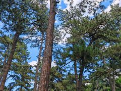 -承德避暑山庄景区