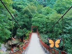 -天台山景区