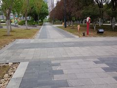 -天鹅湖体育公园
