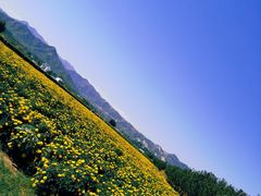 -君乐宝优致牧场