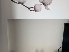 -白玉兰苏州观前街平江路酒店