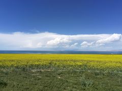 -青海湖国家重点风景名胜区