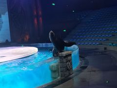 -波塞冬旅游度假区