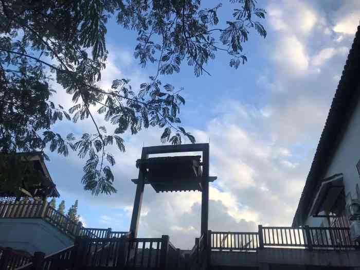 大关科普公园-"听说最近大关公园大变样开满了月季花,引.