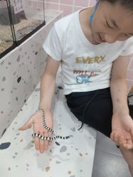 -Moni星球萌宠·小马宝莉·灵蛇·高端高阶全萌宠互动体验俱乐部(红豆国际广场店)
