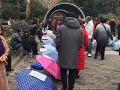 -人民公园-相亲角