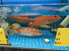 -醉壹号海鲜大排档(厦门美食地标店)