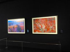 -罗红摄影艺术馆