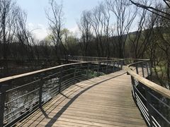 -西湖风景区-江洋畈生态公园