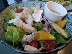 鸡肉牛油果芒果色拉-Wagas沃歌斯(富力广场店)