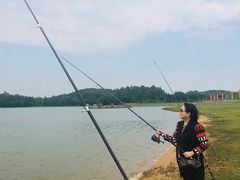 -仙湖旅游度假区