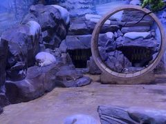 -上海海昌海洋公园-冰山北极馆