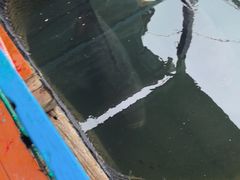 -蓝湾碧波·老字号·疍家非遗海上餐厅