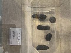 -延庆地质公园博物馆