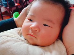 桂花赤豆糊圆子-潘玉麟糖粥