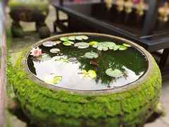 -宝光寺