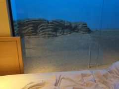 -IU酒店(西安纺织城地铁站唐都医院店)