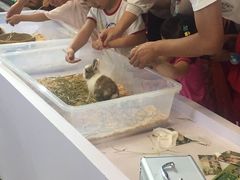 景点-东浩兰生上海世博展览馆