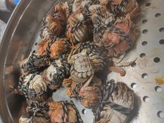 -张江海科雅乐轩聚聚乐