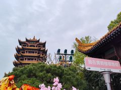 -黄鹤楼公园(黄鹤楼)