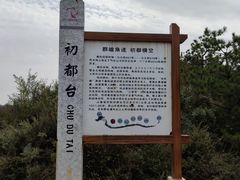 -五龙城郊森林公园