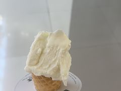 -野人先生现做冰淇淋(北京王府井东方新天地店)