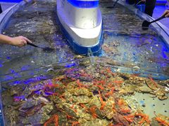 -澜悦港海鲜体验主题餐厅