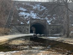 -白水寺森林公园