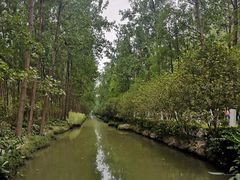 -合肥滨湖国家森林公园