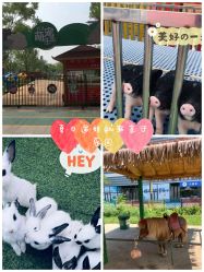 -萌宠亲子动物乐园(槐房万达店)