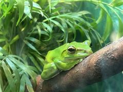 -上海大自然野生昆虫馆