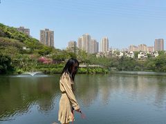 -重庆彩云湖湿地公园