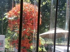 -后湖小院·乡野田园菜