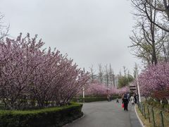 -大宁公园