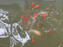 -花洲书院