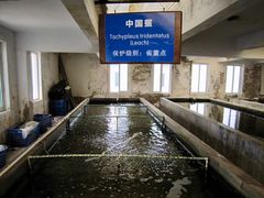 -硇洲岛旅游区