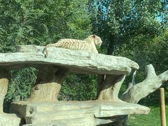 -北京野生动物园