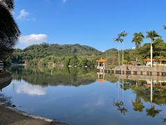 -深圳仙湖植物园