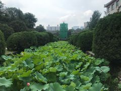 -四川大学(华西校区)