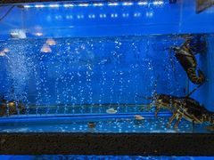 -鲜味食族水产·海鲜餐厅