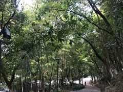 -峙山公园