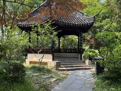 -上海醉白池公园