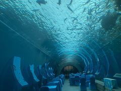 -海棠湾洲际-涛·海底餐厅·美人鱼·自助餐·海底隧道