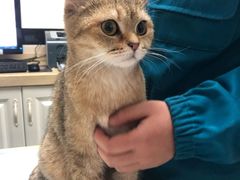 -安安宠医·安宠宠物医院